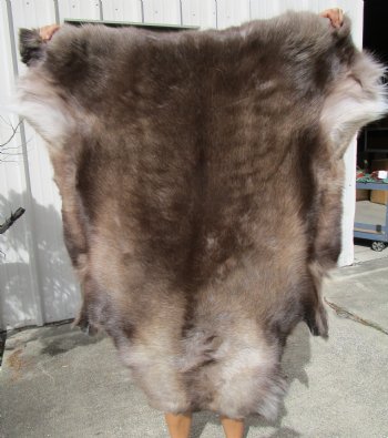 45 by 43 Reindeer Hide for Sale with dark fur for $154.99