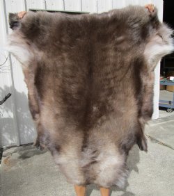 45 by 43 Reindeer Hide for Sale with dark fur for $154.99