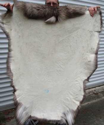Finland Reindeer Hide, Skin for Sale, Without Legs, 47 by 40 inches  for $99.99