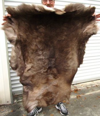 Finland Reindeer Skin With Fur, Without Legs, 44 by 37 inches for $99.99