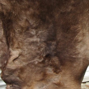 Finland Reindeer Skin With Fur, Without Legs, 44 by 37 inches for $99.99