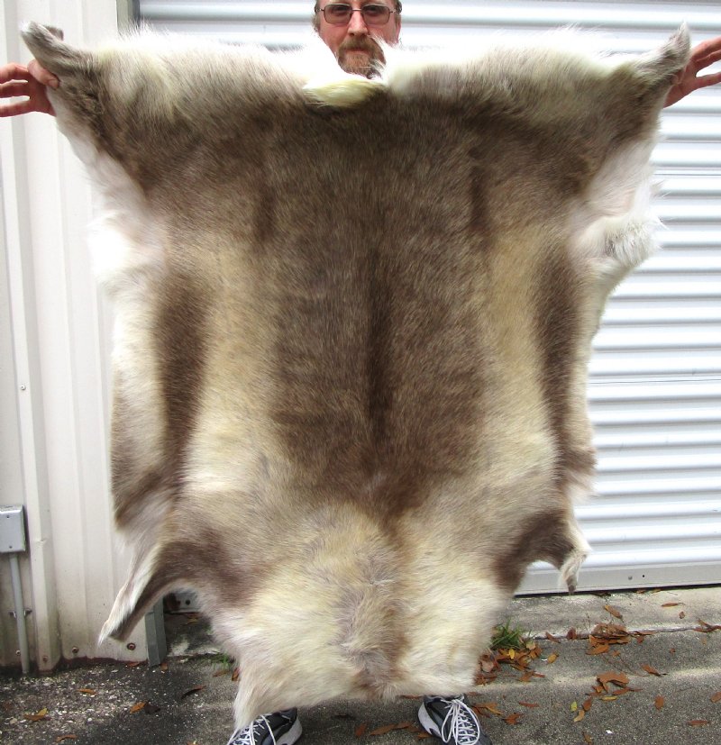 Reindeer Hide from Finland