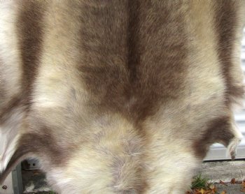 Reindeer Hide from Finland 45 by 43 inches for $154.99