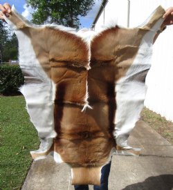 40 by 29 inches Soft Tanned African Springbok Skin, Hide for Sale for $66.99