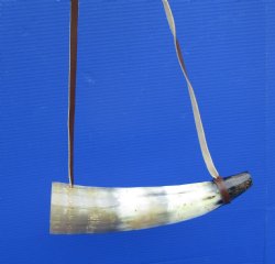 12 inches Blowing Horn, Viking War Horn with Leather Shoulder Strap for $19.99, 