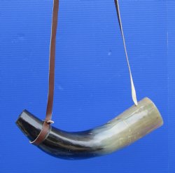 14-1/4 inches Blowing Horn, Viking War Horn with Leather Shoulder Strap for $24.99