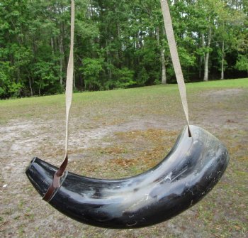 16 inches Blowing Horn, Viking War Horn with Leather Shoulder Strap for $24.99
