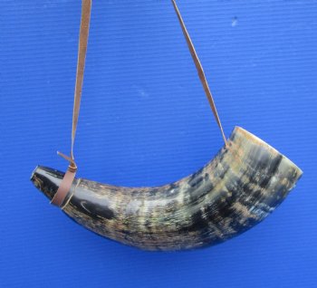 17-3/4 inches Large Blowing Horn, Viking War Horn with Leather Shoulder Strap for $29.99