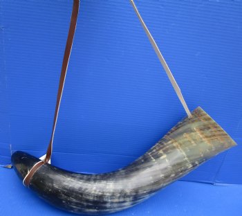 26-1/2 inches Extra Large Blowing Horn, Viking War Horn with Leather Shoulder Strap for $39.99