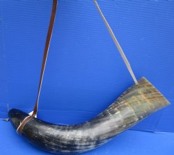 26-1/2 inches Extra Large Blowing Horn, Viking War Horn with Leather Shoulder Strap for $39.99