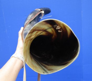 26-1/2 inches Extra Large Blowing Horn, Viking War Horn with Leather Shoulder Strap for $39.99