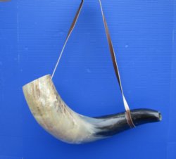 26-3/4 inches Extra Large Blowing Horn, Viking War Horn with Leather Shoulder Strap for $39.99