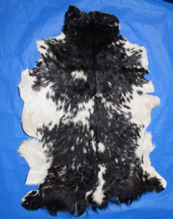 Black and White Goat Hide, Skin with Wavy Fur 45 by 33 inches for $44.99