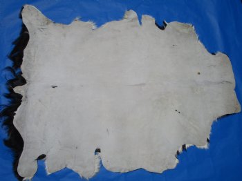 Authentic Black and White Goat Hide, Skin with Wavy Fur 45 by 33 inches for $44.99