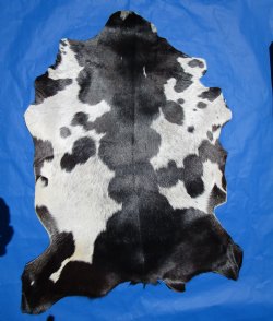 Black and White Goat Hide, Skin 40 by 32 inches for $44.99