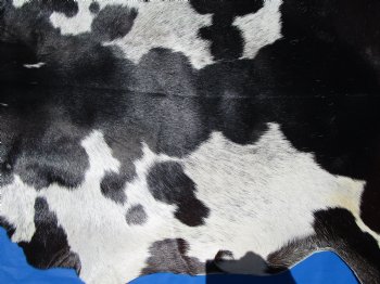 Black and White Goat Hide, Skin 40 by 32 inches for $44.99