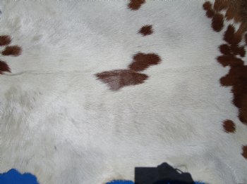 Cream with Rust Colored Patches Goat Hide, Skin 38 by 36 inches for $44.99
