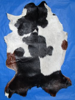 Black and White Goat Hide, Skin with Brown Patches 48 by 34 inches for $44.99