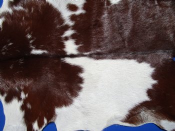 Authentic Rich Brown and White Goat Skin, Hide 35 by 30 inches for $44.99