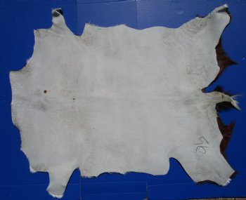 Authentic Rich Brown and White Goat Skin, Hide 35 by 30 inches for $44.99