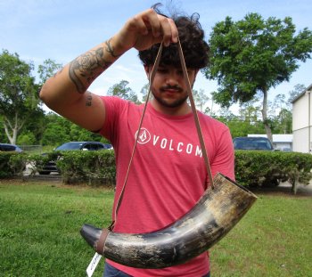 17 inches Large Viking War Horn, Buffalo Blowing Horn with Leather Strap - Buy this one for $32.99