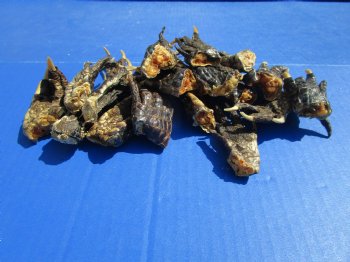 2 to 3 inches Small Alligator Feet for Crafts - Buy these 20 for $1.30 each