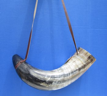 22 inches Extra Large Viking War Horn, Buffalo Blowing Horn with Leather Strap - Buy this one for $39.99
