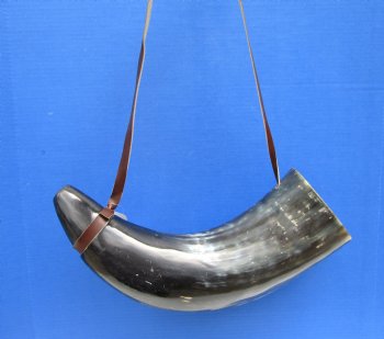 21-1/2 inches Extra Large Viking War Horn, Buffalo Blowing Horn with Leather Strap - Buy this one for $39.99