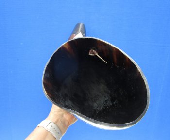 21-1/2 inches Extra Large Viking War Horn, Buffalo Blowing Horn with Leather Strap - Buy this one for $39.99