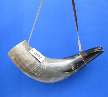 24-1/2 inches Extra Large Viking War Horn, Buffalo Blowing Horn with Leather Strap - Buy this one for $39.99
