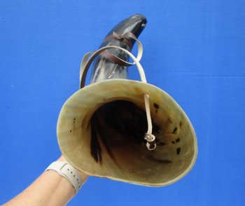 24-1/2 inches Extra Large Viking War Horn, Buffalo Blowing Horn with Leather Strap - Buy this one for $39.99