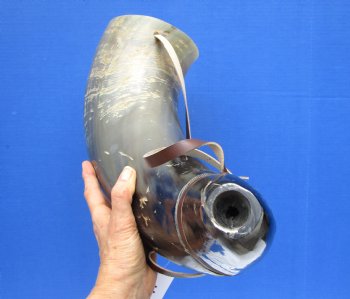 24-1/2 inches Extra Large Viking War Horn, Buffalo Blowing Horn with Leather Strap - Buy this one for $39.99