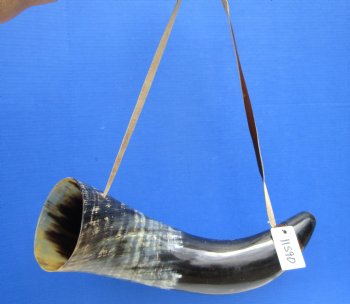 23-1/2 inches Extra Large Viking War Horn, Buffalo Blowing Horn with Leather Strap - Buy this one for $39.99