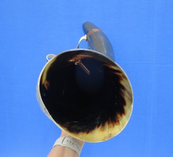 23-1/2 inches Extra Large Viking War Horn, Buffalo Blowing Horn with Leather Strap - Buy this one for $39.99