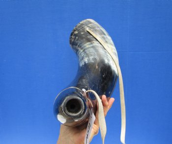 23-1/2 inches Extra Large Viking War Horn, Buffalo Blowing Horn with Leather Strap - Buy this one for $39.99
