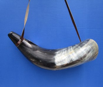 23-1/2 inches Extra Large Viking War Horn, Buffalo Blowing Horn with Leather Strap - Buy this one for $39.99