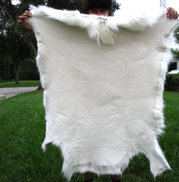 White Finland Reindeer Hide, Skin, Fur with Blend of Whites, Grays and Tans 42 by 41 inches for $149.99