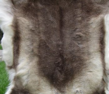 Finland Reindeer Hide, Skin with Brown, White and Tan Fur 50" x 47" - Buy this one for $144.99