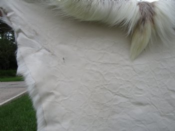Finland Reindeer Hide, Skin with Brown, White and Tan Fur 50" x 47" - Buy this one for $144.99