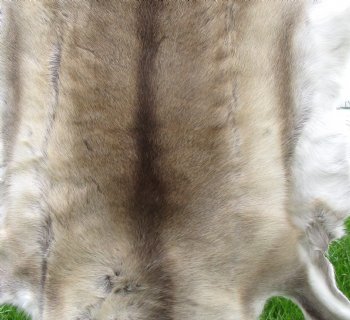 Finland Reindeer Hide, Skin With Cream, White, Tan and Brown Fur 47" x 43" - Buy this one for $144.99