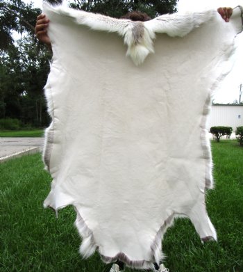 Finland Reindeer Hide, Skin With Cream, White, Tan and Brown Fur 47" x 43" - Buy this one for $144.99