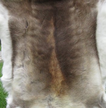 Finland Reindeer Hide, Skin with Brown, Tans, Creams and White Fur 50" x 48" - Buy this one for $144.99