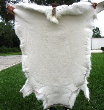 Finland Reindeer Hide, Skin with Brown, Tans, Creams and White Fur 50" x 48" - Buy this one for $144.99