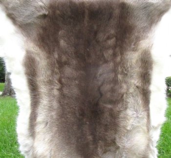 Finland Reindeer Hide, Skin with Brown, Tans and White Fur 52" x 44" - Buy this one for $144.99