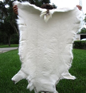 Finland Reindeer Hide, Skin with Brown, Tans and White Fur 52" x 44" - Buy this one for $144.99