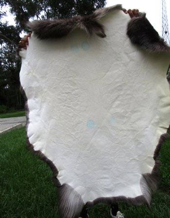 Finland Reindeer Hide, Skin, Without Legs, with Dark Brown and Tan Fur, 45" by 40" - Buy this one for $109.99