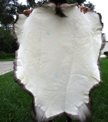 Dark Colored Finland Reindeer Hide, Skin, Fur Without Legs, 44" by 38" - Buy this one for $109.99
