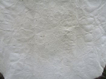 Finland Reindeer Hide, Skin, Without Legs, with Brown, Tan and White Fur  47" by 36" - Buy this one for $109.99