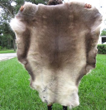 Finland Reindeer Hide, Skin, Without Legs, 47" by 41" with Browns, Tans and Cream Fur - Buy this one for $109.99