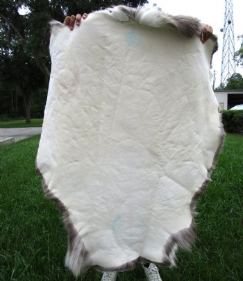 Finland Reindeer Hide, Skin, Without Legs, 47" by 41" with Browns, Tans and Cream Fur - Buy this one for $109.99
